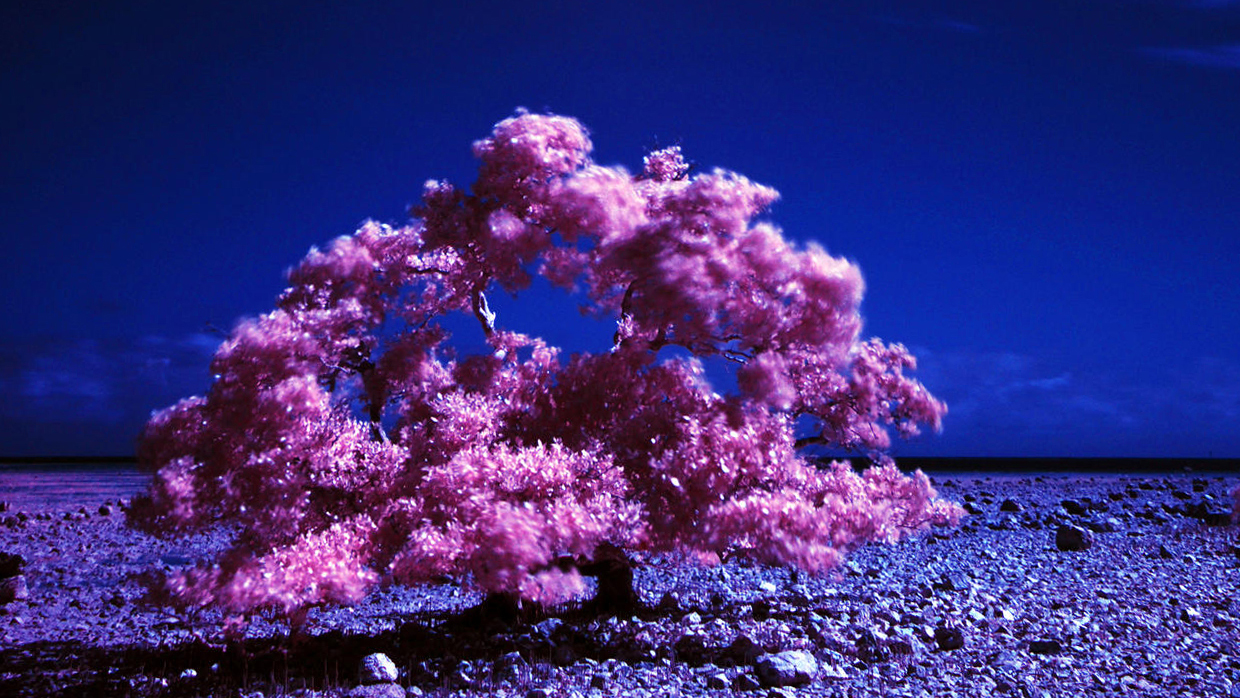 Featured image of post Je ne vais pas pouvoir continuer comme ça